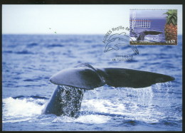 Baleine Açores Carte Maximum 2005 Whale Azores Islands Maxicard - Ballenas