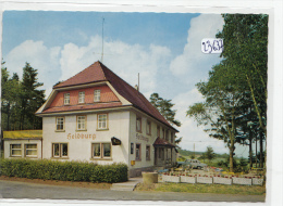 CPM GF - 23637-Allemagne -Elzach  - Vue  Du Höhengasthof - Pension    "Heidburg"-Envoi Gratuit - Elzach