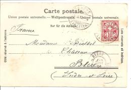 N°Y&T 54    GENEVE        Vers   FRANCE  Le   14 SEPTEMBRE 1904 - Brieven En Documenten