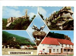 CP - OBERSTEINBACH (67) Carte Souvenirs - Brumath