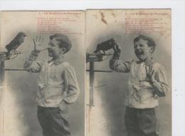 La Revanche Du Perroquet Deux Cartes Vers 1903. Bergeret Nancy  à Melle Marie Bernard à Mettet, Hordimond, Fosses - Collezioni & Lotti