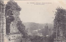 Cp , 85 , TIFFAUGES , Ruines Du Château Et Vallée De La Sèvre - Other & Unclassified