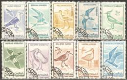 Romania 1991 Mi# 4642-4651 Used - Birds - Used Stamps