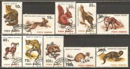 Romania 1993 Mi# 4901-4910 X Used - No Wmk. - Animals - Usati