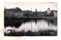 Canton Coulanges La Vineuse Vincelles Vue Du Quartier De La Mairie Avec Cafe Auberge De La Marine Et L'eglise - Coulanges La Vineuse