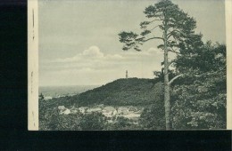 Bad Freienwald Oder Mit Baum Panorama Wohnhäuser Um 1920 - Bad Freienwalde