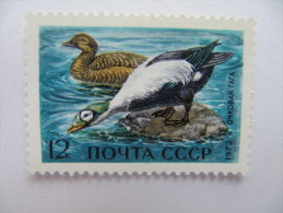 2-3098 Oiseau Arctique Bird  Polar Polaire Arktis Arctic Polare Artico Canard Duck Eend Polair Arctisch Ente Pato - Canards