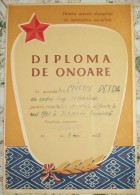 ROMANIA-HONORARY DIPLOMA /  DEGREE,FURRIERS COOPERATIVE,1961-1962 - Diplômes & Bulletins Scolaires