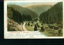 Litho Silbergraben Bei Oberhof Mit Rehen Damwild 25.6.1905 Nach Oelsnitz - Oberhof