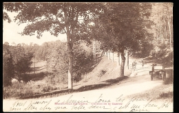 88 MONTHUREUX SUR SAONE / Chemin De La Guerre / - Monthureux Sur Saone