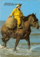 CP GARNAALVISSER Te Paard Te OOSTDUINKERKE " Goeten Uit / Un Bonjour De  WESTENDE "  Pêcheur De Crevettes  à Cheval . - Oostduinkerke