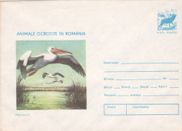 ANIMALS PROTECTED IN ROMANIA, THE PELICAN, COVER STATIONERY , 1977,ROMANIA - Pelícanos