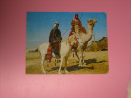 CP Beduin Horsemen Les Cavaliers Bedouins - Profesiones