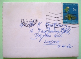 South Africa 1965 Small (10x7 Cm) Cover To London - Baobab Tree - Marriage Invitation - Cartas & Documentos