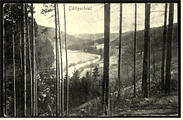 Göltzschtal  -  Waldfrieden  -  Ansichtskarte Ca.1915    (2012) - Mylau