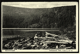 Schwarzer See Im Boehmerwald  -  Seeblick  -  Ansichtskarte Ca. 1912    (2022) - Boehmen Und Maehren