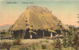 SIERRA LEONE THATCHING A HOUSE - Sierra Leona