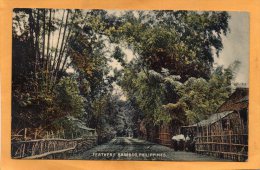 Feathery Bamboo 1905 Philippines Postcard - Philippines