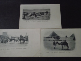 EGYPTE  - Lot De 3 CPA - CHAMEAUX Et BEDOUINS - CHAMELIERS - Non Voyagées - Coll. P. L. - Persons