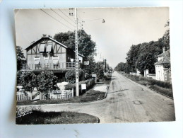 Carte Postale Ancienne : GRETZ-ARMAINVILLIERS : Le Bois Vignolle , Route De Melun En 1959 - Gretz Armainvilliers