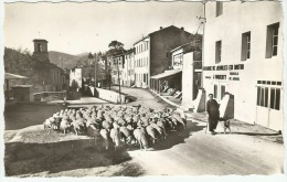 Auriol (13)  Le Troupeau Place Charles Adrien - Auriol