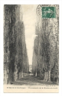 Cp, 86, Saint-Savin-sur-Gartempe, Promenade De La Roche-en-Goût, Voyagée 1912 - Saint Savin