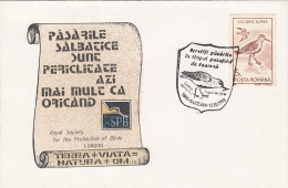 BIRDS, CALIDRIS ALPINA, SPECIAL COVER, 1993, ROMANIA - Gabbiani