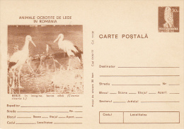 BIRDS, WHITE STORKS, PC STATIONERY, ENTIERE POSTAUX, 1977, ROMANIA - Storks & Long-legged Wading Birds