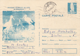 BIRDS, WHITE STORKS, PC STATIONERY, ENTIERE POSTAUX, 1977, ROMANIA - Storks & Long-legged Wading Birds