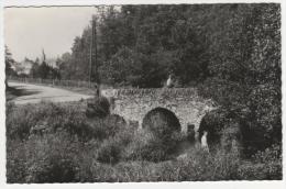 CPSM GEMBES ( HAUT - FAYS ), LE PONT DES GATTES, DAVERDISSE, ENFANTS, 9cm Sur 14cm Env, PROVINCE DU LUXEMBOURG, BELGIQUE - Daverdisse