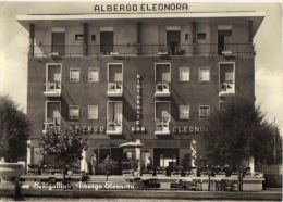 SENIGALLIA ( ANCONA ) ALBERGO ELEONORA / 1955 - Senigallia