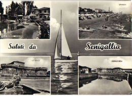 SENIGALLIA ( ANCONA ) SALUTI / VEDUTINE - 1962 - Senigallia