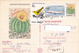 ASTROPHYTUM ORNATUM, CACTUS , DESERT, PC, POST CARD, 1997,ROMANIA - Cactus