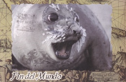 ELEPHANT SEAL,ANTARCTICA, 6X SPECIAL STAMPS , PC, POST CARD, SOUTH GEORGIA ISLANDS - Fauna Antártica