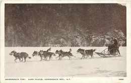 203899-New York, Lake Placid, Adirondack Taxi, Dog Sled, Santway Photo Craft Co No 1895 - Adirondack