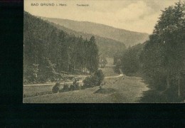Litho Bad Grund Harz Teufelstal Weg Um 1915 - Bad Grund