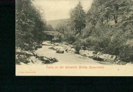 Delcampe - Litho Partie An Der Steinernen Brücke Schwarzathal Th. Sw Um 1900 - Puentes