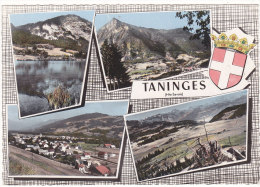 Lu  3  -  TANINGES  (74.  Hte-Savoie) - Taninges