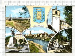 RIVESALTES -  Pont Sur L AGLY  - Hôtel De Ville - Statue  Maréchal JOFFRE - Vue Générale  & AGLY - Promenade - Rivesaltes