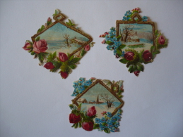 3 CHROMOS    DECOUPIS GAUFRE  -   CADRES  PAYSAGES  ET FLEURS - Blumen