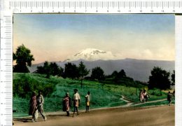 MOUNT   KILIMANJARO  -   Highest Mountain In AFRICA - Tanzanía