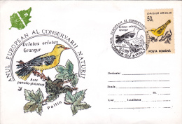 ORIOLUS ORIOLUS, SPECIAL COVER, 1995,ROMANIA - Pics & Grimpeurs