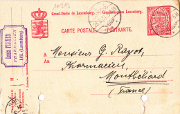 10313# LUXEMBOURG ENTIER CARTE POSTALE ARMOIRIES Obl KAYL 1921 PHARMACIE Pour MONTBELIARD DOUBS - Stamped Stationery