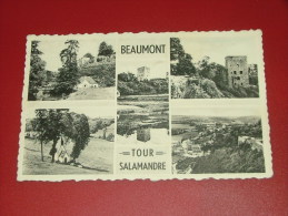 BEAUMONT -  Tour Salamandre -  Multi-vues - Beaumont