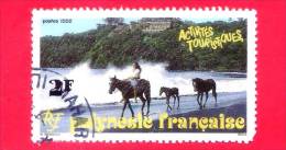 POLINESIA FRANCESE - 1992 - Usato  - Turismo - Attività Turistiche - Cavalli - 2 F - Gebruikt