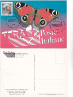 BUTTERFLY, PAPILLON,  PC, POSTCARD, 1997,ITALY - Papillons