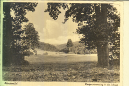 5358 BAD MÜNSTEREIFEL, Morgenstimmung In Der Schleid - Bad Münstereifel