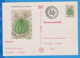 Flower Of Cactus  ROMANIA Postal Stationery Postcard 1997 - Cactusses