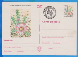 Flower Of Cactus  ROMANIA Postal Stationery Postcard 1997 - Sukkulenten