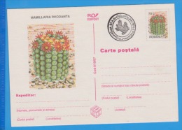 Flower Of Cactus  ROMANIA Postal Stationery Postcard 1997 - Cactus